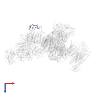 COMPLEX I PGIV/NDUFA8 in PDB entry 5j7y, assembly 1, top view.