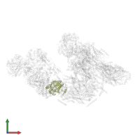 COMPLEX I 42KDA/NDUFA10 in PDB entry 5j7y, assembly 1, front view.