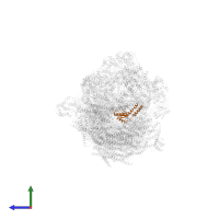COMPLEX I PSST/NDUFS7 in PDB entry 5j7y, assembly 1, side view.