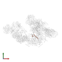 COMPLEX I SDAP/NDUFAB1 in PDB entry 5j7y, assembly 1, front view.