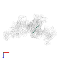 COMPLEX I B22/NDUFB9 in PDB entry 5j7y, assembly 1, top view.