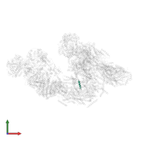 COMPLEX I UNKNOWN SUBUNIT FRAGMENT 4 in PDB entry 5j7y, assembly 1, front view.