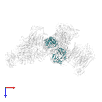 Cytochrome b-c1 complex subunit 1, mitochondrial in PDB entry 5j7y, assembly 1, top view.