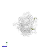 Cytochrome b-c1 complex subunit 6 in PDB entry 5j7y, assembly 1, side view.