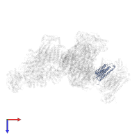 Cytochrome c oxidase subunit 3 in PDB entry 5j7y, assembly 1, top view.