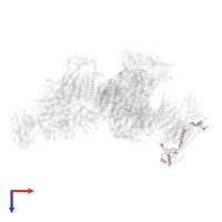 Cytochrome c oxidase subunit 4 in PDB entry 5j7y, assembly 1, top view.