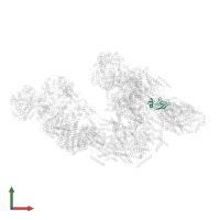 Cytochrome c oxidase subunit 5B, mitochondrial in PDB entry 5j7y, assembly 1, front view.
