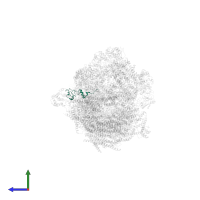 Cytochrome c oxidase subunit 5B, mitochondrial in PDB entry 5j7y, assembly 1, side view.