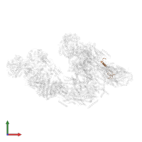 Cytochrome c oxidase subunit 6A, mitochondrial in PDB entry 5j7y, assembly 1, front view.