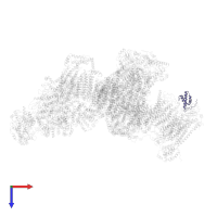COMPLEX IV COX6B1 in PDB entry 5j7y, assembly 1, top view.
