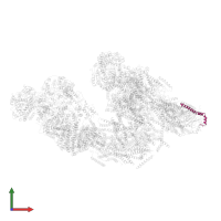 Cytochrome c oxidase subunit 6C in PDB entry 5j7y, assembly 1, front view.