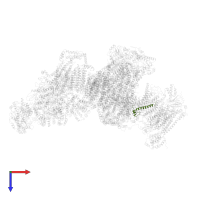 Cytochrome c oxidase subunit 7A1, mitochondrial in PDB entry 5j7y, assembly 1, top view.