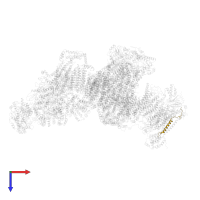 Cytochrome c oxidase subunit 7B, mitochondrial in PDB entry 5j7y, assembly 1, top view.
