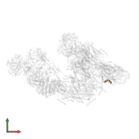 Cytochrome c oxidase subunit 7C, mitochondrial in PDB entry 5j7y, assembly 1, front view.