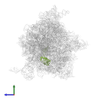 Large ribosomal subunit protein uL4 in PDB entry 5j88, assembly 1, side view.