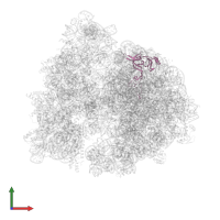 Large ribosomal subunit protein uL3 in PDB entry 5j91, assembly 1, front view.