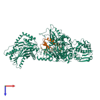 PDB entry 5ja1 coloured by chain, top view.