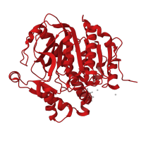 The deposited structure of PDB entry 5jan contains 1 copy of CATH domain 3.40.50.1820 (Rossmann fold) in Platelet-activating factor acetylhydrolase. Showing 1 copy in chain A.