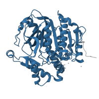 The deposited structure of PDB entry 5jan contains 1 copy of Pfam domain PF03403 (Platelet-activating factor acetylhydrolase, isoform II) in Platelet-activating factor acetylhydrolase. Showing 1 copy in chain A.