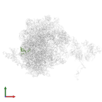 Large ribosomal subunit protein uL24A in PDB entry 5jcs, assembly 1, front view.