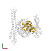 Hemoglobin subunit beta in PDB entry 5jdo, assembly 1, front view.