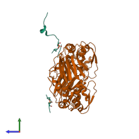 Hetero pentameric assembly 1 of PDB entry 5jej coloured by chemically distinct molecules, side view.