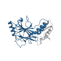The deposited structure of PDB entry 5jek contains 2 copies of Pfam domain PF10401 (Interferon-regulatory factor 3) in Interferon regulatory factor 3. Showing 1 copy in chain A.