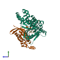 Hetero dimeric assembly 2 of PDB entry 5jhh coloured by chemically distinct molecules, side view.