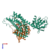 Hetero dimeric assembly 2 of PDB entry 5jhh coloured by chemically distinct molecules, top view.