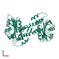 Electroneutral sodium bicarbonate exchanger 1 in PDB entry 5jho, assembly 1, front view.