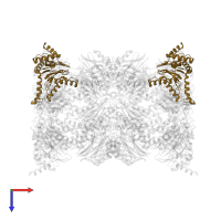 Proteasome subunit alpha type-1 in PDB entry 5jhr, assembly 1, top view.