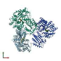 PDB entry 5jj4 coloured by chain, front view.