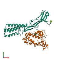 PDB entry 5jkc coloured by chain, front view.