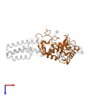 Sperm-egg fusion protein Juno in PDB entry 5jke, assembly 1, top view.