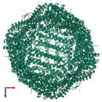 Homo 24-meric assembly 1 of PDB entry 5jkk coloured by chemically distinct molecules, top view.