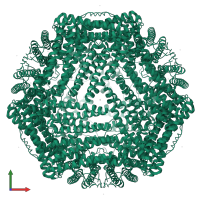 Ferritin heavy chain in PDB entry 5jkk, assembly 1, front view.