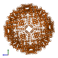 Ferritin heavy chain in PDB entry 5jkl, assembly 2, side view.