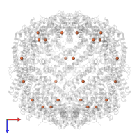 FE (III) ION in PDB entry 5jkm, assembly 1, top view.