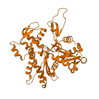 The deposited structure of PDB entry 5jlf contains 5 copies of Pfam domain PF00022 (Actin) in Actin, alpha skeletal muscle. Showing 1 copy in chain A.