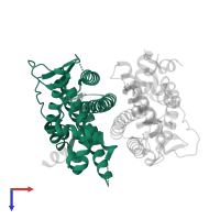 Estrogen receptor in PDB entry 5jmm, assembly 1, top view.