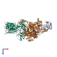 Hetero trimeric assembly 1 of PDB entry 5jpn coloured by chemically distinct molecules, top view.