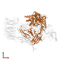 Complement C4-A alpha chain in PDB entry 5jpn, assembly 1, front view.