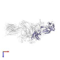 Complement C4 gamma chain in PDB entry 5jpn, assembly 1, top view.