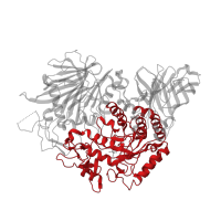 The deposited structure of PDB entry 5jqp contains 1 copy of Pfam domain PF01055 (Glycosyl hydrolases family 31 TIM-barrel domain) in Probable alpha/beta-glucosidase agdC. Showing 1 copy in chain A.