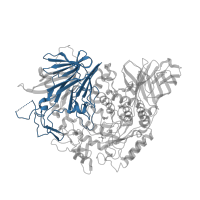 The deposited structure of PDB entry 5jqp contains 1 copy of Pfam domain PF13802 (Glycosyl hydrolase 31 N-terminal galactose mutarotase-like domain) in Probable alpha/beta-glucosidase agdC. Showing 1 copy in chain A.