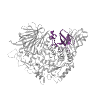 The deposited structure of PDB entry 5jqp contains 1 copy of Pfam domain PF21365 (Glycosyl hydrolase family 31 C-terminal domain) in Probable alpha/beta-glucosidase agdC. Showing 1 copy in chain A.