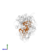 Glucosidase 2 subunit beta in PDB entry 5jqp, assembly 1, side view.