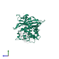 Ubiquitin carboxyl-terminal hydrolase 7 in PDB entry 5jtj, assembly 1, side view.