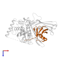 Ubiquitin in PDB entry 5jtj, assembly 1, top view.