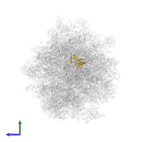 Small ribosomal subunit protein uS8A in PDB entry 5juo, assembly 1, side view.